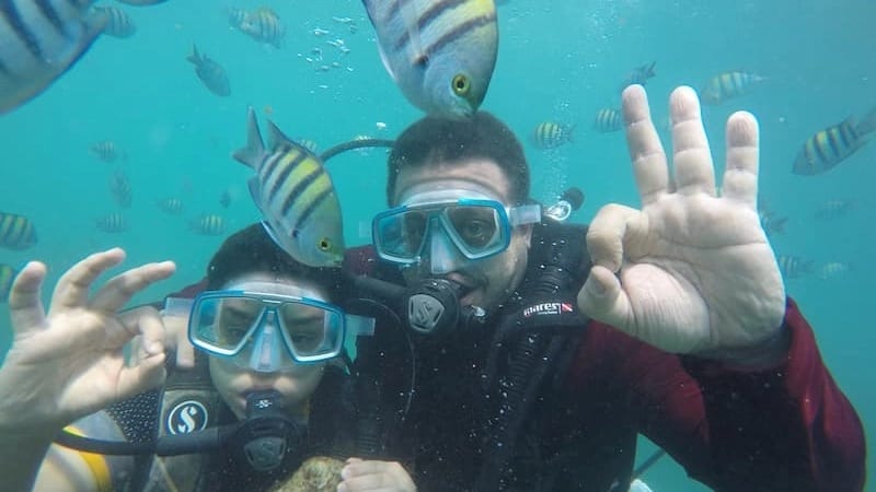 دایو آموزشی دریایی